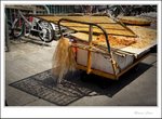 IMG_3169 e