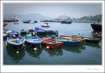 IMG_3212 e
