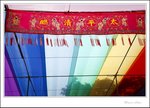 IMG_3221 e
