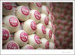 IMG_3300 e