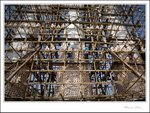 IMG_3319 e