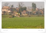 _MG_9451 ec