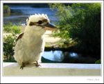 IMG_8771 ec