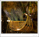 _MG_2485 ec