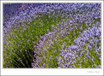 _MG_2513 ec2