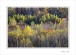 團友新哥話呢個喺心喎！你看得見嗎？
Frame__MG_6319 e