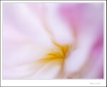 IMG_3136 ec