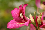 IMG_0778008