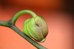 IMG_0904011