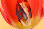 IMG_1167022