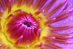 IMG_1188024
