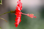 IMG_1502037