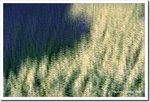 Frame_scan 304 c