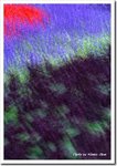 Frame_scan 305 c