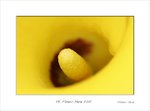 Frame_color_MG_0279 e