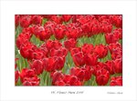 Frame_color_MG_0305 e