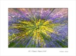 Frame_color_MG_0355 e