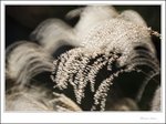 IMG_4487 e