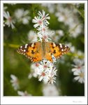 IMG_4503 ec