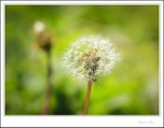 IMG_4514 ec