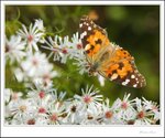 IMG_4516 ec2