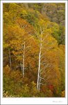 IMG_4571 e