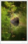 IMG_4669 e