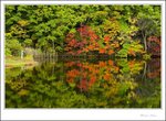 IMG_4708 e