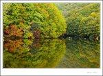 IMG_4714 e