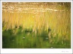 IMG_4731 ec
