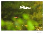 IMG_4758 ec