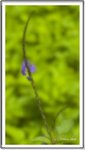 Playing with Layers in PS
_MG_0788 layers
