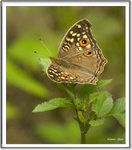 _MG_0829 ec