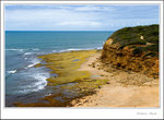 _MG_0398 e