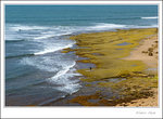_MG_0401 e