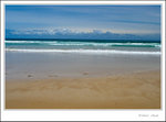 _MG_0412 e