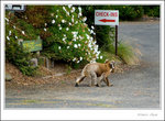 where are you going ?
_MG_0425 ec