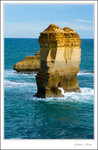 _MG_0466 e