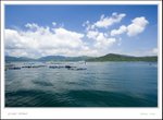 _MG_8311 e
