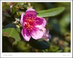 _MG_8348 ec