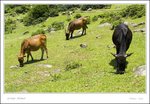_MG_8374 ec
