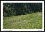Frame__MG_3114 e