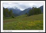 Frame__MG_3124 e