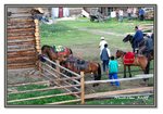 Frame_IMG_6511 eweb