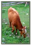 Frame_IMG_6515 e2web