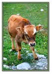 Frame_IMG_6516 e2web