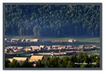 Frame_IMG_6541 eweb