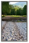 Frame_IMG_6551 eweb
