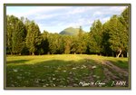 Frame_IMG_6552 eweb
