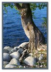 Frame_IMG_6554 eweb